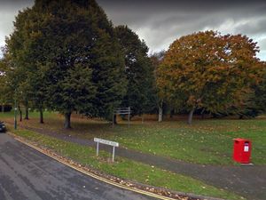 Supporting image for story: Shrewsbury service to remember tree champion