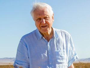 Supporting image for story: Sir David Attenborough unearths skull of Jurassic predator in new BBC programme