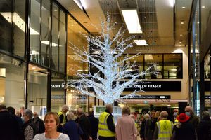 The Telford Rotary Tree of Light official launch has taken place