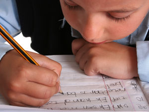 Supporting image for story: West Midland schools protest over ‘hidden funds crisis’