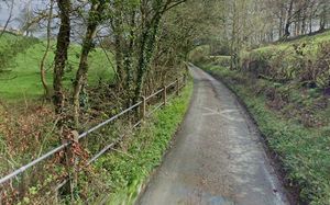 Ambulances reportedly had to turn around due to \"poor diversion signs\" that were put in place while a road in Pant Glas was closed. Picture: Google