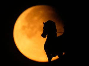 Supporting image for story: In pictures: Skywatchers enjoy partial eclipse and supermoon