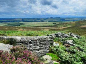 Supporting image for story: David Attenborough backs bid to save vast upland estate ‘for nature and nation’