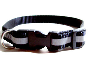 Supporting image for story: Dog dies in freak Newport accident