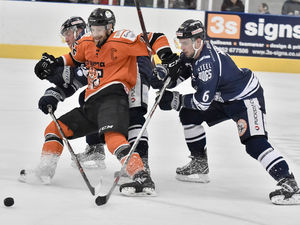 Supporting image for story: Tom Watkins relieved as Telford Tigers' title hopes stay alive