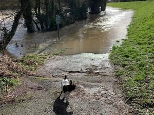 Supporting image for story: Private investments into Powys flood alleviation scheme along River Severn 'vital in making it a reality'