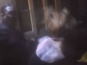 Supporting image for story