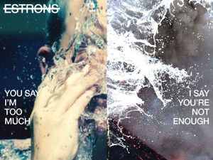 Supporting image for story: Estrons, You Say I'm Too Much, I Say You're Not Enough - album review