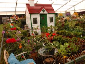 Supporting image for story: Open weekend for allotments