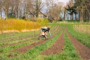 Supporting image for story: New free agroforestry toolkit for Shropshire farmers, estate managers and land agents launched