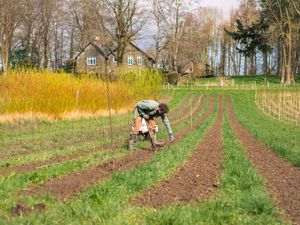 Supporting image for story: New free agroforestry toolkit for Shropshire farmers, estate managers and land agents launched