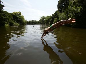 A swimmer diving into the water at the mixed bathing ponds in Hampstead Heath, London