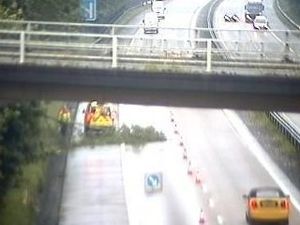 Supporting image for story: Fallen tree blocks one lane of M54
