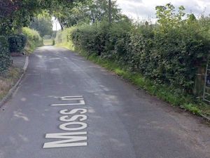 Supporting image for story: Councillors defer decision on proposed home at former garden centre