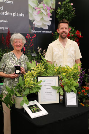 Linda Eggins, National Plant Collection Holder of Aucuba japonica and winner of Plant Heritage’s Brickell Award 2025 with Matthew Pottage at RHS Hampton Court Palace Garden Festival. Credit Plant Heritage. 