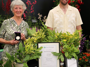 Supporting image for story: Midlands gardener wins prestigious horticultural award at RHS Hampton Court Palace Garden Festival 2025