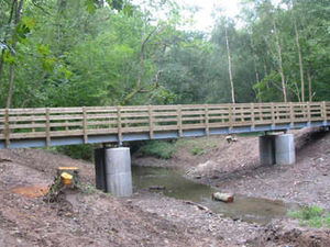 Supporting image for story: Wyre Forest beauty spot gets new bridge