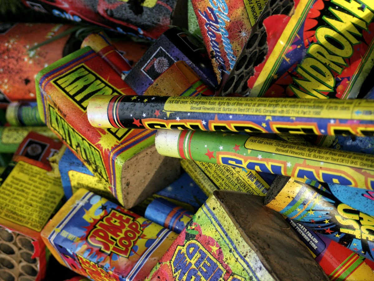 Firework control zones expanded after death of red pandas at zoo last year