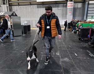 Reporter Daniel Walton with Murphy from Dudley