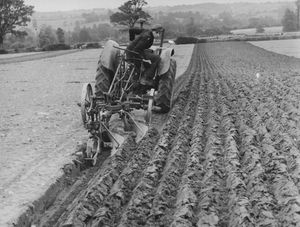 Ivan Goff demonstrates his ploughing skills. 