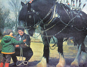 Supporting image for story: Flashback to 1978 and a vintage year for the West Mid Show