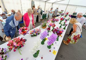 Crowds enjoyed the show