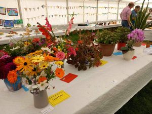 Some of the floral exhibits at a previous Beulah Show
