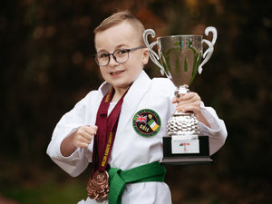 Supporting image for story: Eight-year-old karate kid Albie destined for glory