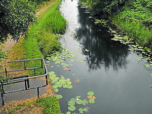 Supporting image for story: Man dies after he was found in Walsall canal