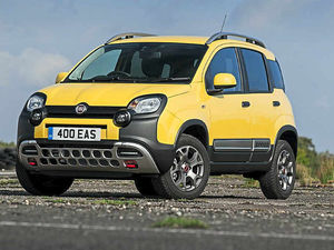 Supporting image for story: Panda that's just a little bit cross