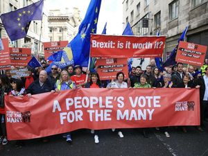 Supporting image for story: The People’s Vote: How would a second Brexit referendum work?
