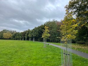 Story: Walsall woodland created to celebrate Queen’s Jubilee under threat
Photo taken by LDR Rachel Alexander October 2024
Permission for use for LDR partners
Reedswood Park, Walsall