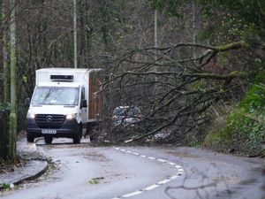 Supporting image for story: Second person killed in Storm Darragh after tree falls on car