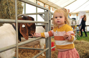 Supporting image for story: Plans under way for the 2025 Royal Three Counties Show
