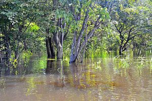 The team have been photographing the mighty river
