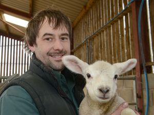 Supporting image for story: Farmer Ben up for national award thanks to successful catering business