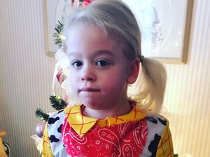 Supporting image for story: Police officer takes on 400 miles and 400 floors for little Penny's dream trip