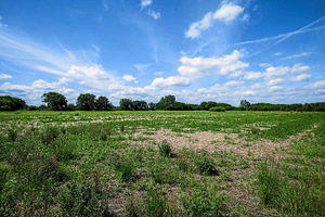 The site where the new hub will be built