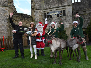 Supporting image for story: Panto star declares Dudley Zoo's Christmas grotto open – Oh yes she does!