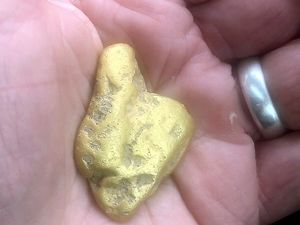 Supporting image for story: Gold hunters accused of damaging nature reserve following recent £30,000 nugget discovery 