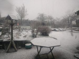 Supporting image for story: Shropshire weather: Snow turns to sleet - with pictures