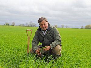 Supporting image for story: Gus named key account manager at ADAMA
