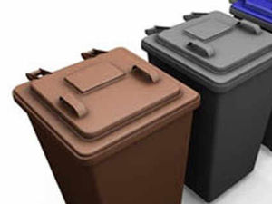 Supporting image for story: Wolverhampton gets new wheelie bins