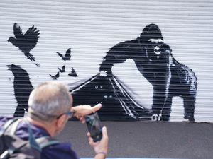 Supporting image for story: Banksy unveils ninth artwork at London Zoo