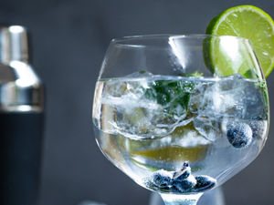 Supporting image for story: Peter Rhodes on a grisly voyage, gin across the universe and the best, and worst, of care homes