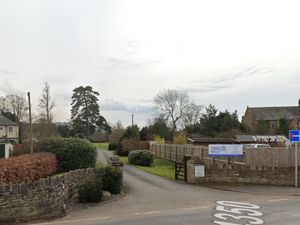 Supporting image for story: Pine trees earmarked for felling in Glasbury could be replaced by native broadleaf trees