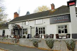 Supporting image for story: The Dog in Warley, Bearwood