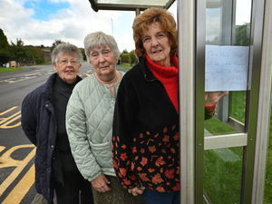 Supporting image for story: Fury at bus service changes in Ludlow which will 'turn people into prisoners in their own homes'