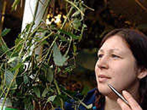 Supporting image for story: Zookeepers count on creatures for survey