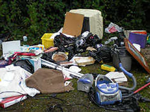 Supporting image for story: Dumped rubbish costs gran £598